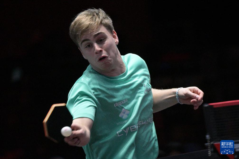 在日本羽毛 在日本羽毛